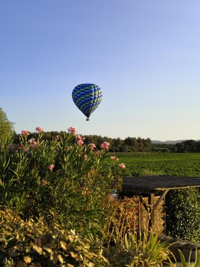 Coquelicot * Gargas (Vaucluse)